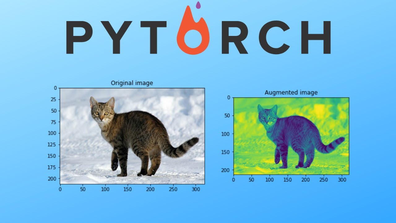 PyTorch Data Augmentation with Torchvision