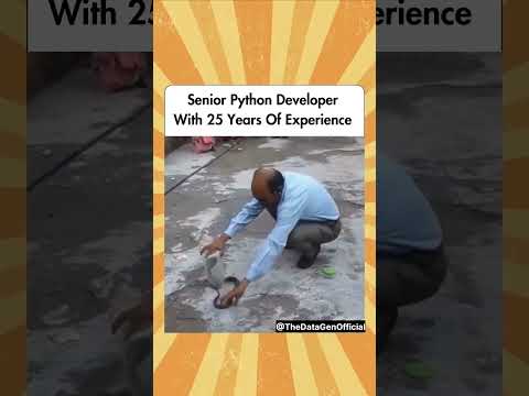 Python Experience#education#dataengineering#funny#dataengineer#aws#coding#dataengineeringessentials