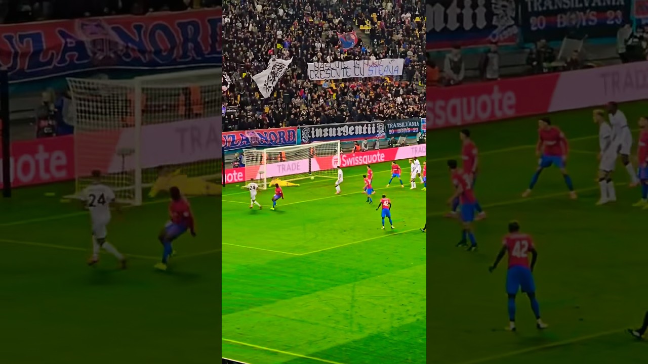 Bologna Suffer 0-2 Defeat in Europa League Match ⚽