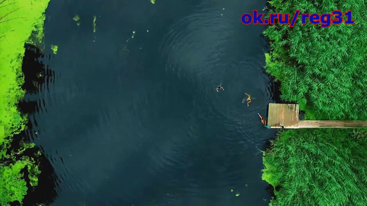 Шебекино с высоты птичьего полёта 🦅