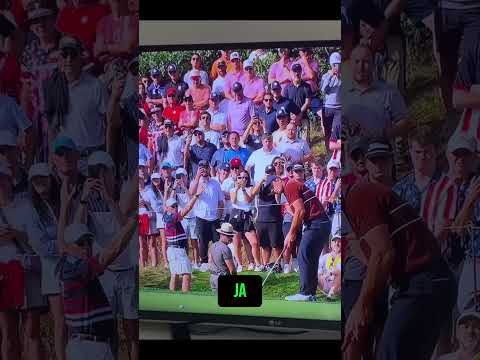 This cop definitely looked like he had money on Team Europe 😂