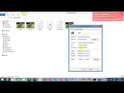 Hiding file using Command Line- #Steganography