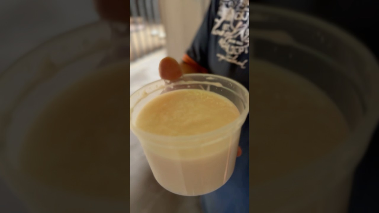 Домашний медведь Том 🐻 | Фото и видео блог