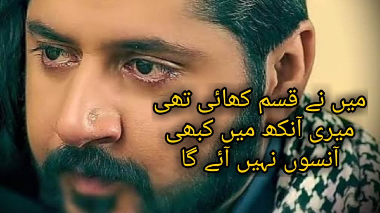 Raqs e Bismil Heartfelt WhatsApp Status 💔