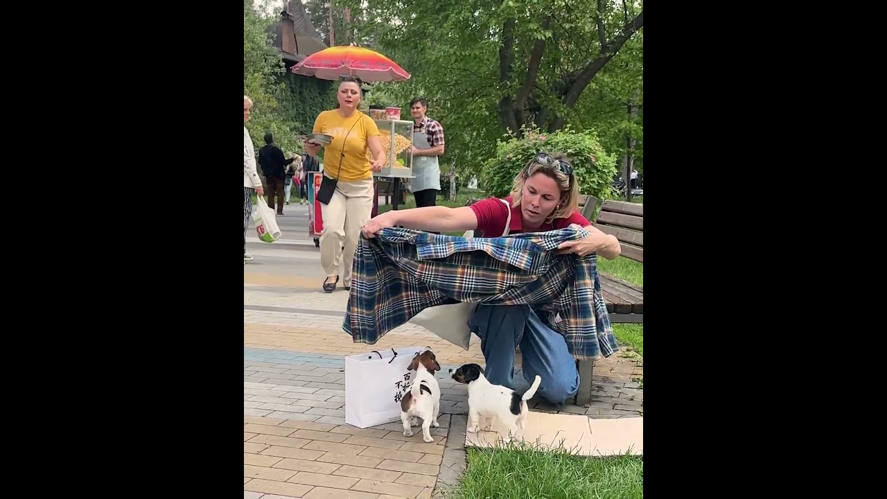 Small Paws, Big Hope – A Rescue Story That Will Touch Your Heart