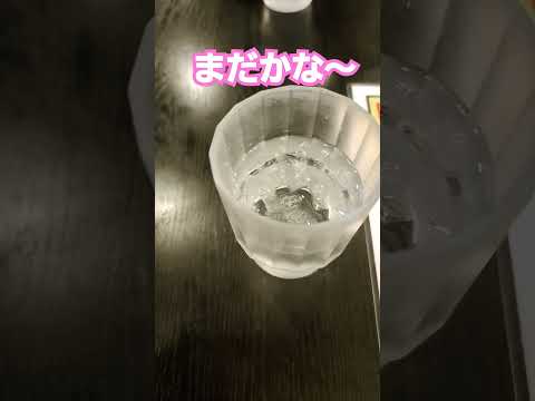 【ラーメン】#幸楽苑　#メガ盛り