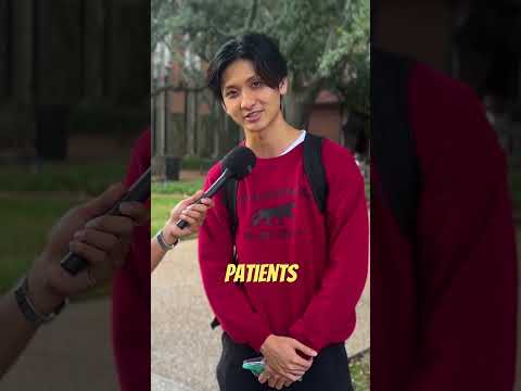 Is sociology a good major?