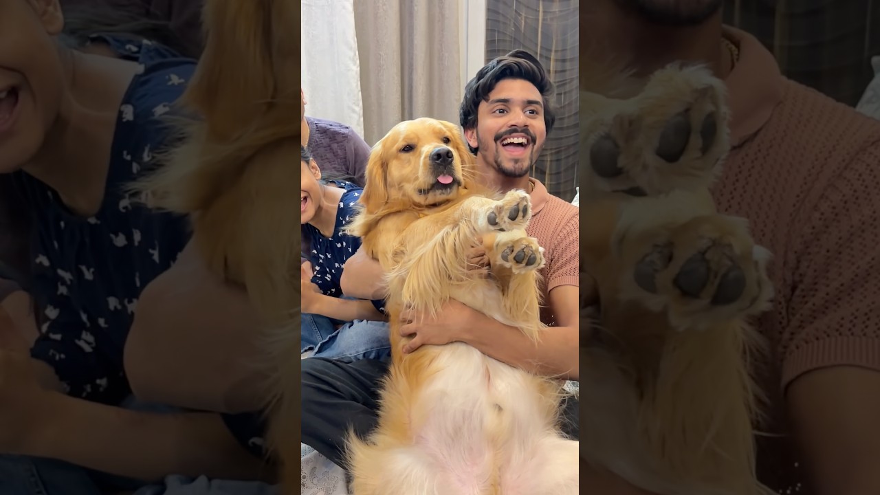 Horror Love Letter 😰 #Shorts | Anant Rastogi