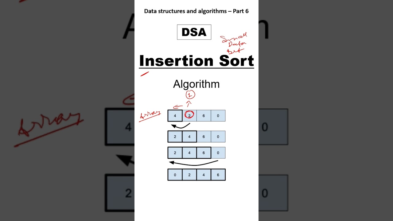 Understanding Insertion Sort: A Beginner's Guide to the Basic Sorting Algorithm 🧩