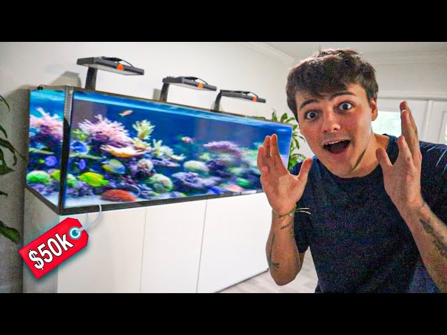 Watch My Stunning $50,000 Saltwater Reef Aquarium Setup! 🌊