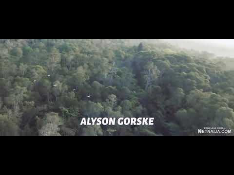 The Jungle Run: Full Movie Adventure 🌿