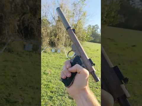 Silenced Ruger 22
