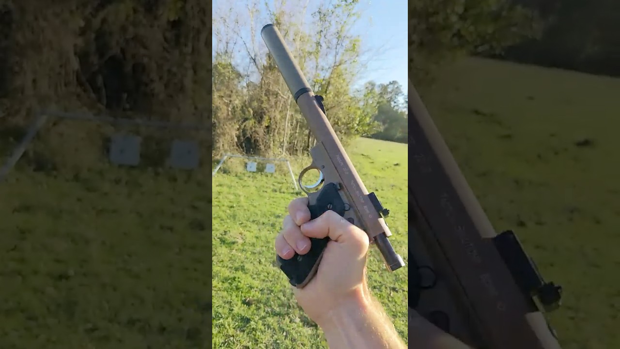 Silenced Ruger 22 🔫