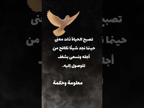 تصبح الحياة ذات معنى حينما نجد شيئًا نكافح من أجله ونسعى بشغف للوصول إليه.