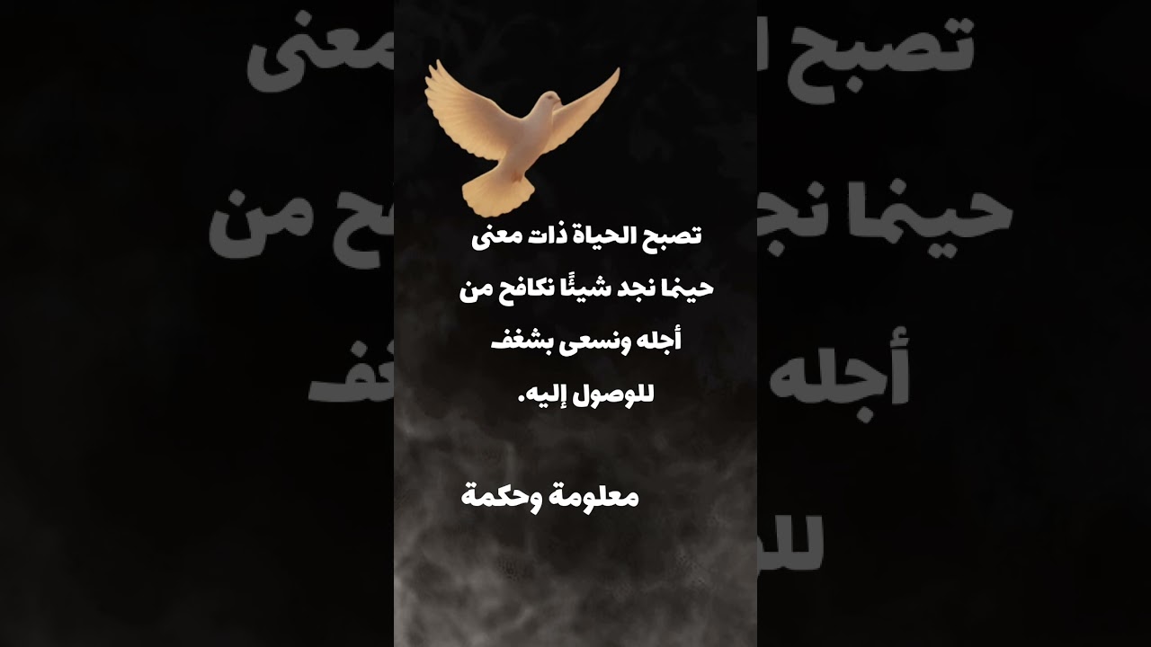 اكتشف معنى حياتك من خلال الشغف والسعي 🚀