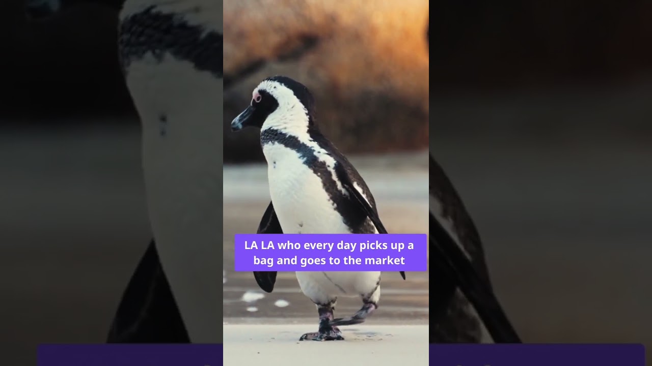 Shopping Penguin ποΈ