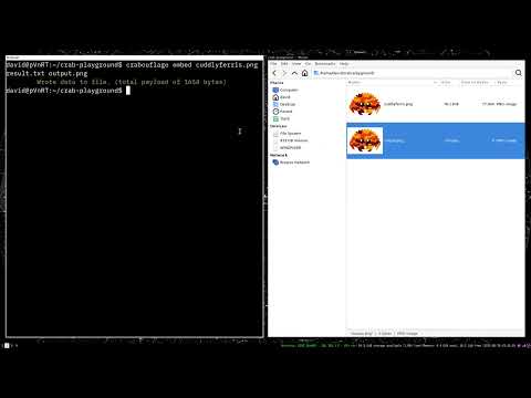 hiding files inside an image with rust - steganography