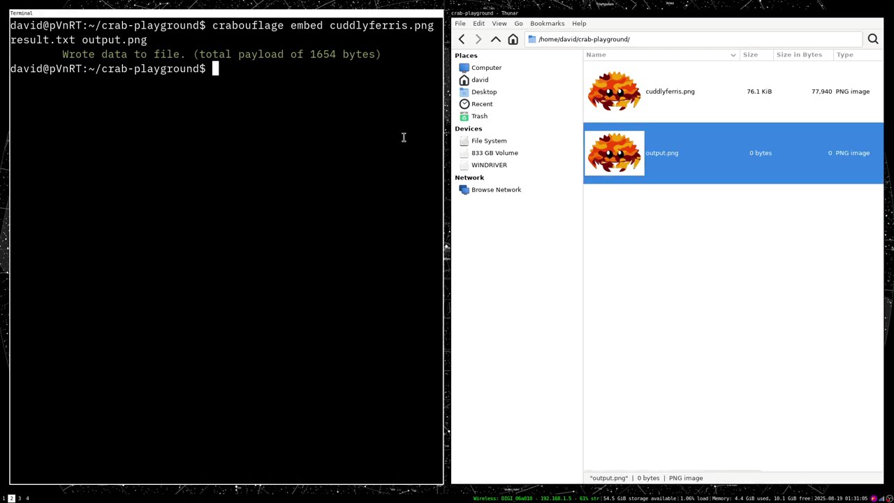Embed Hidden Files in PNG Images Using Rust πΌοΈ β Steganography Made Easy