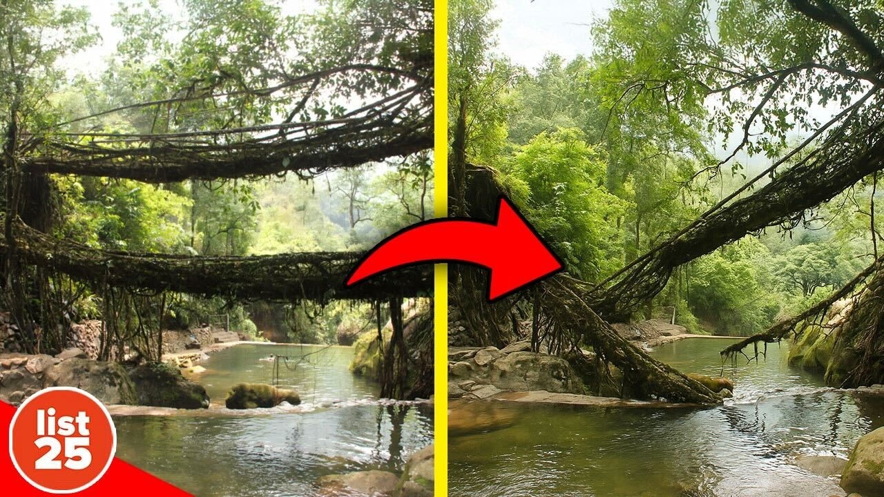 100 Fascinating Oddities That Will Leave You Amazed 🤯