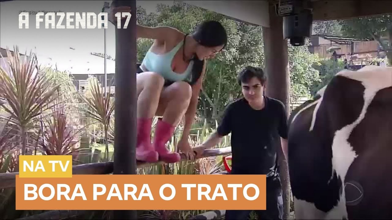 Manhã agitada na Fazenda 17 pós-festa 🌅