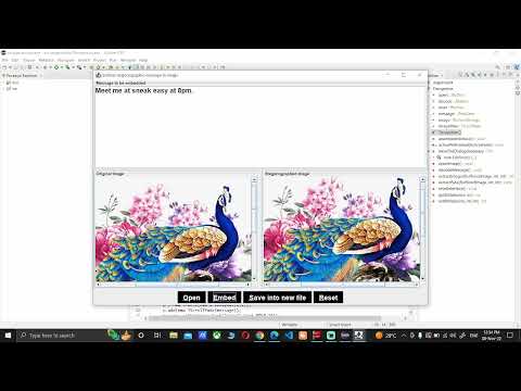 Image Steganography using JAVA | Project Walkthrough