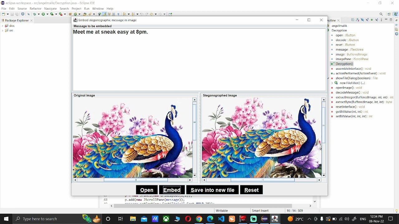 Image Steganography with Java: Create Hidden Messages in Images 🖼️ | Project Walkthrough