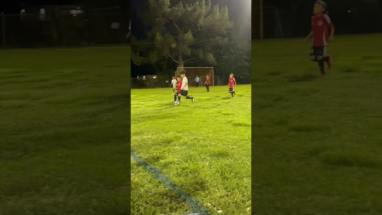 World Cup 2024 Highlights & Soccer News ⚽️