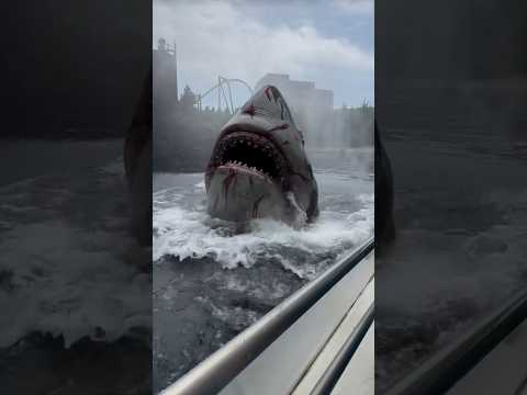 Was this the GREATEST Universal Studios Ride? #universalstudios #jaws