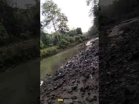 Ricky, Rich, Ricky Rich, Aram Mafia, Young 22, Young, 22, Yong 22, ara mafia, aram 👍👍❤️❤️