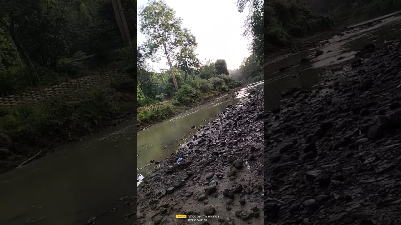 Discover Ricky Rich & Aram Mafia's Hit Songs ๐ถ