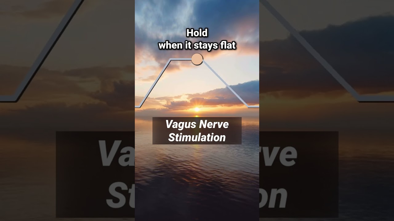 Vagus Nerve Breathing Exercise with Pocket Breath Coach