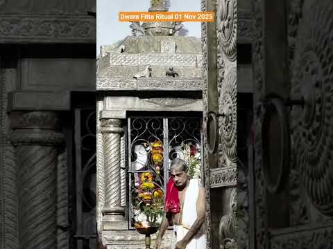 Today's Dwara Fitta #ritual Dibya Darshan 01 Nov #2024 #devotiess #shorts