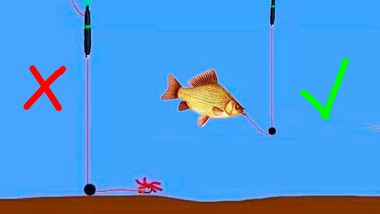 Почему карась лучше клюет с полу-дна 🎣