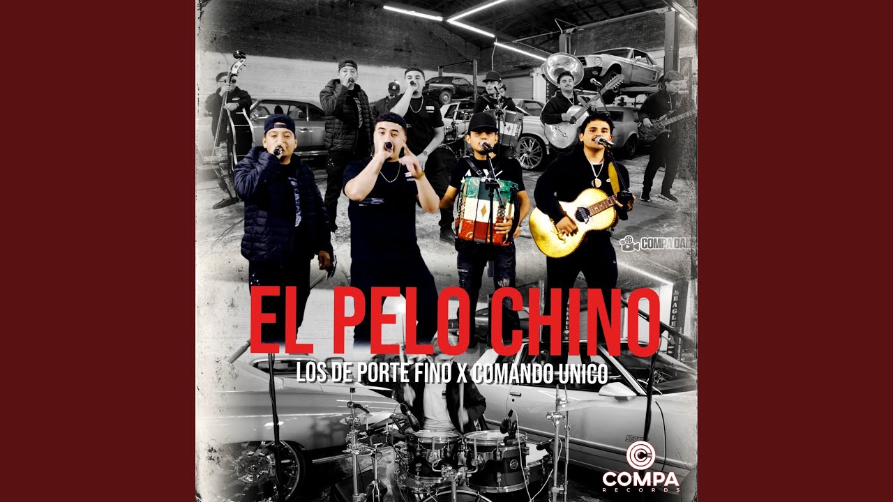 El Pelo Chino by Los De Porte Fino 🎶