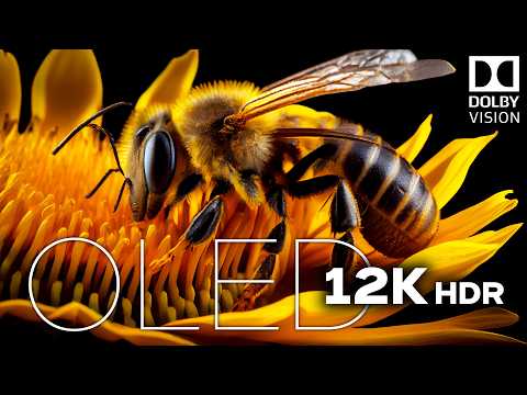 OLED Test 12k HDR 120fps Dolby Vision #OLED #12K #TV
