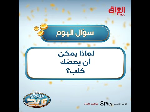 لماذا يمكن أن يعضك كلب؟