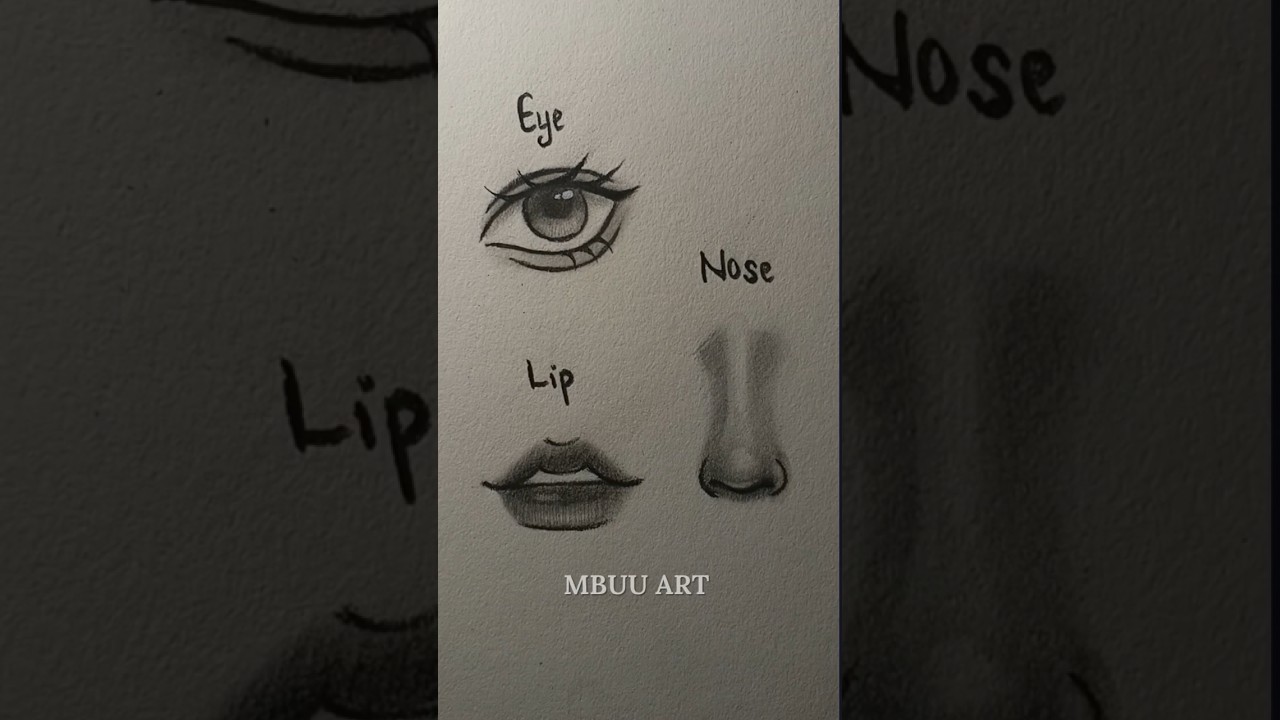 How to draw Eye, Nose, and Lip's Tutorial✏️ #drawing #tutorial #howtodraw #art