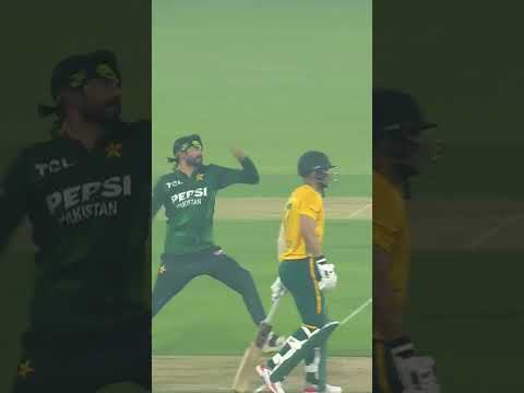 Debut Delight! Usman Tariq Removes Dangerous Brevis 🔥 #PAKvSA | #GreenPeYaqeen | M3U1U