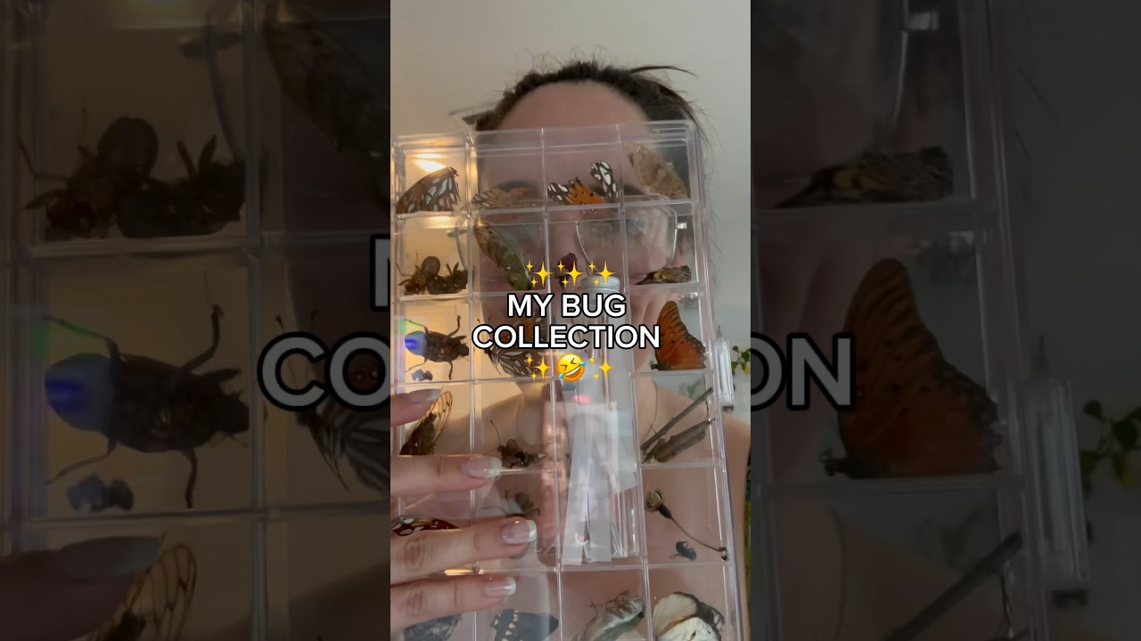 Who Else Loves Collecting Insects? 🐞