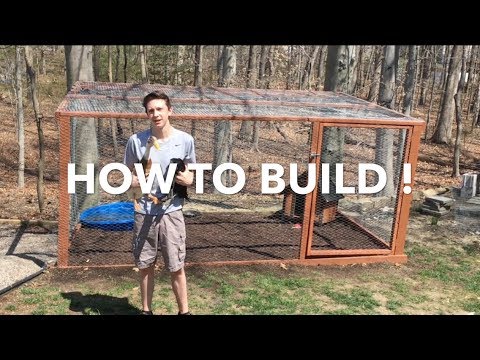 Build a Cheap & Easy Chicken/Duck Coop 🐥