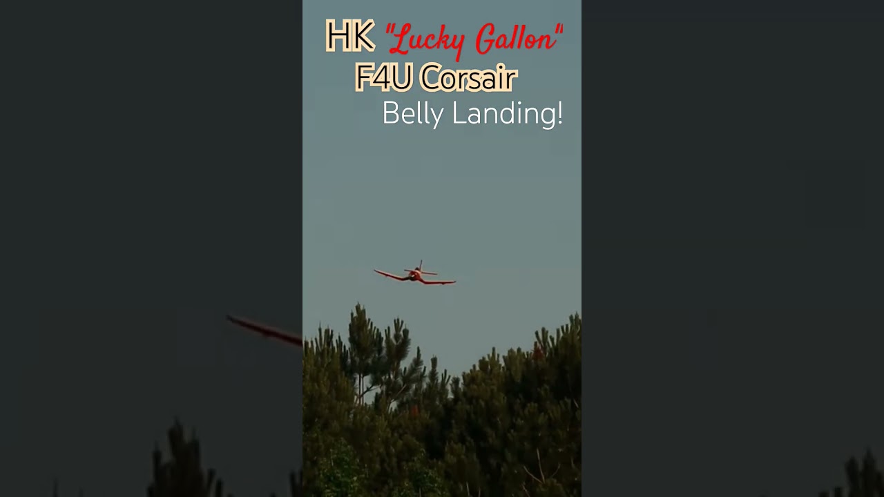 HK Lucky Gallon F4U Corsair Belly Landing ✈️