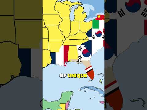 The USA by its Most Common Languages! #usa #geography #unitedstates