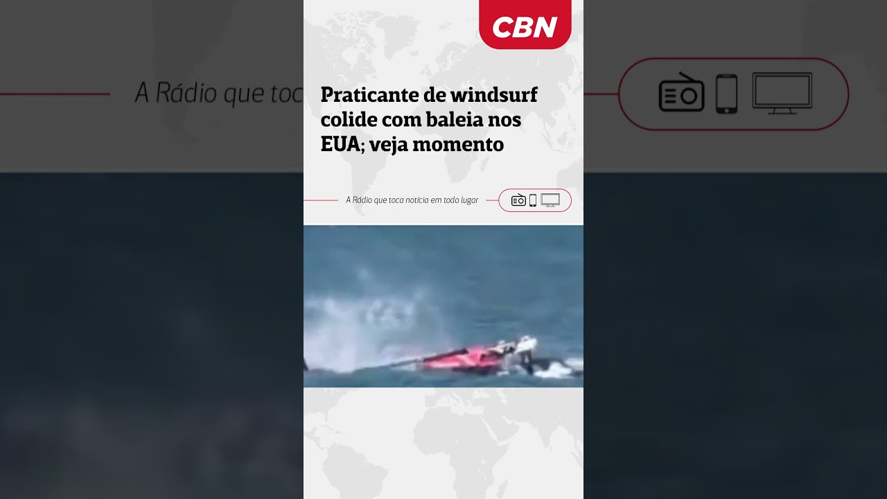 Praticante de Windsurf Colide com Baleia nos EUA 🐳