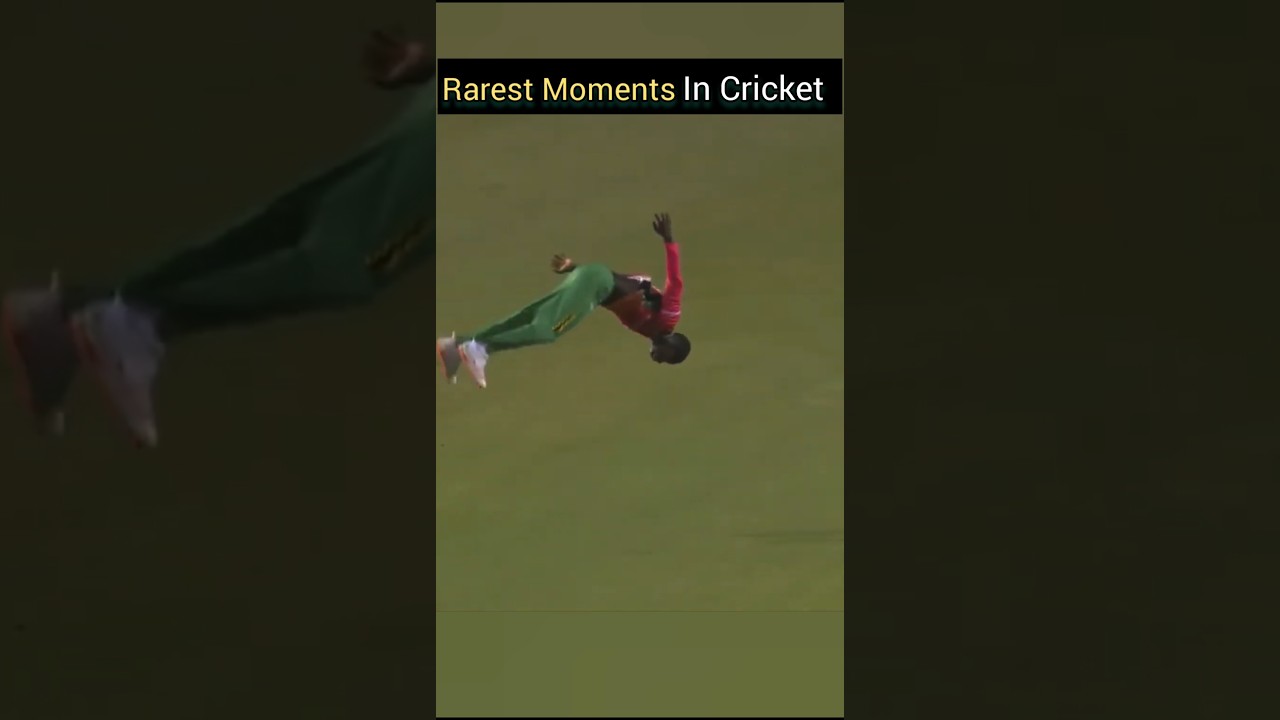 Cricket's Rarest Moments 🏏