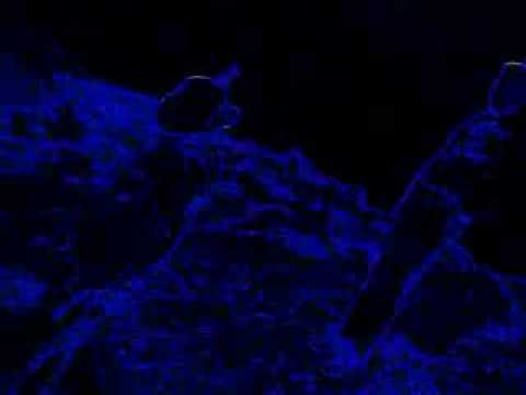 new rap 7wem mache mhager