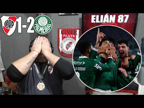 RIVER PLATE 1 VS PALMEIRAS 2 REACCION RE CALIENTE DEL HINCHA DE RIVER