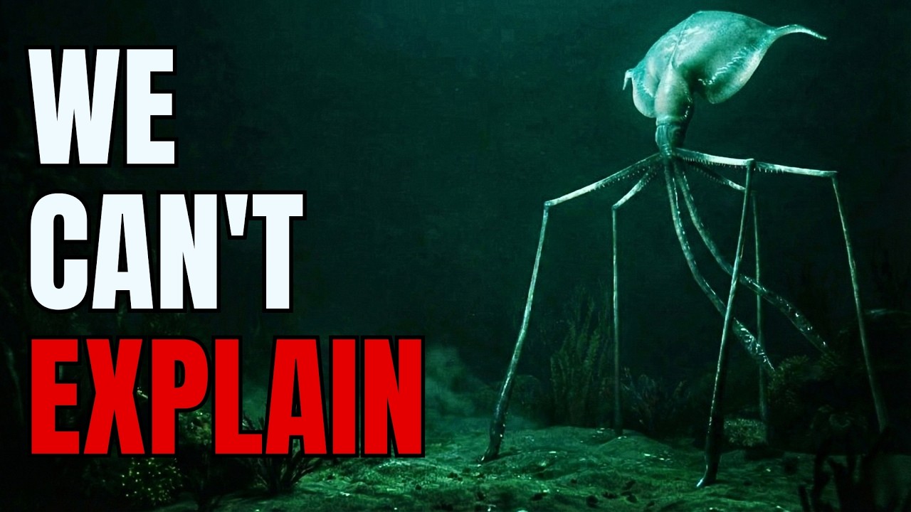 Revealing the True Size of the Colossal Squid 🦑