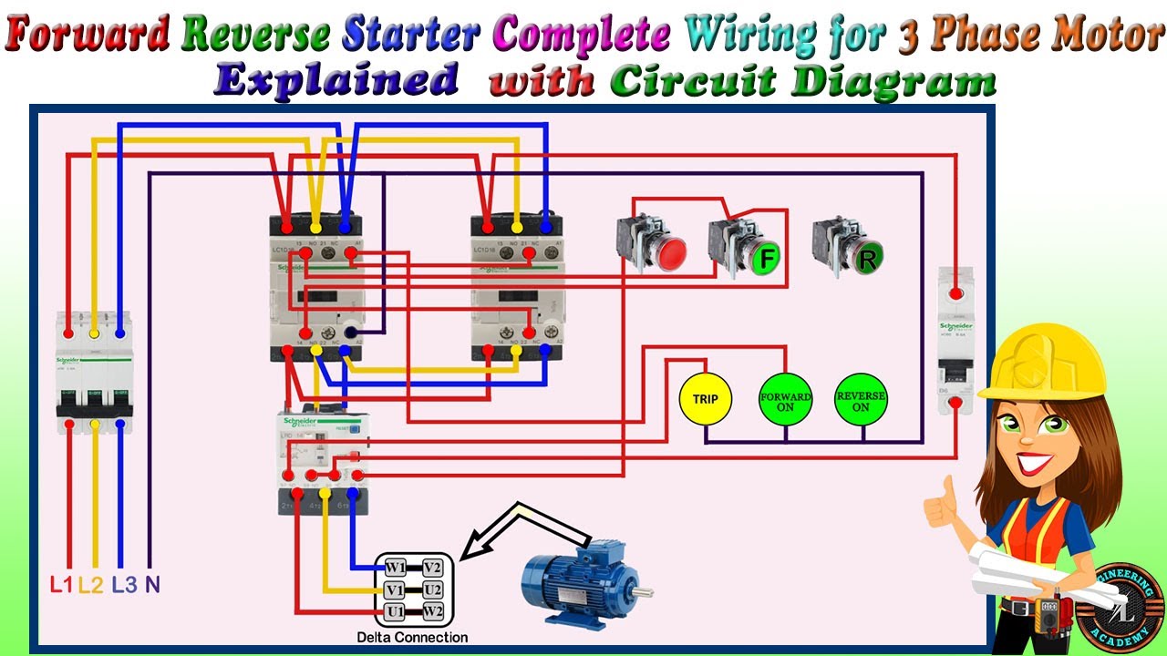 3-Phase Motor Forward Reverse Starter Wiring 🔧