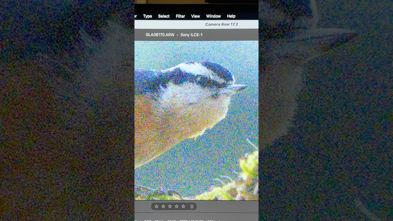 Revolutionary Noise Removal with Photoshop’s New AI! 🔥