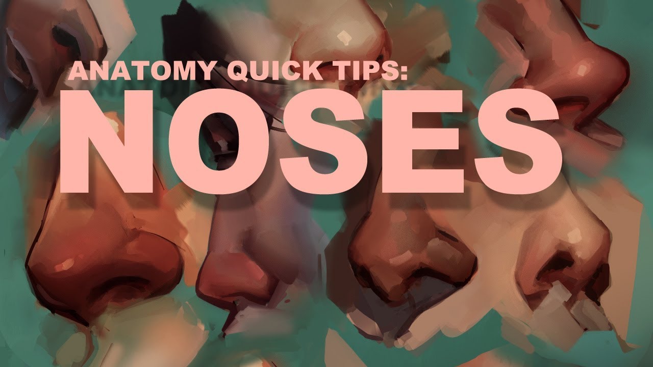 Anatomy Tips: Drawing the Human Nose 👃